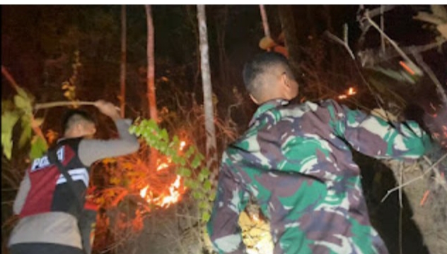 Gercep, TNI Bersama Polisi dan Relawan Padamkan Kebakaran Lahan di Karangsuko Trenggalek