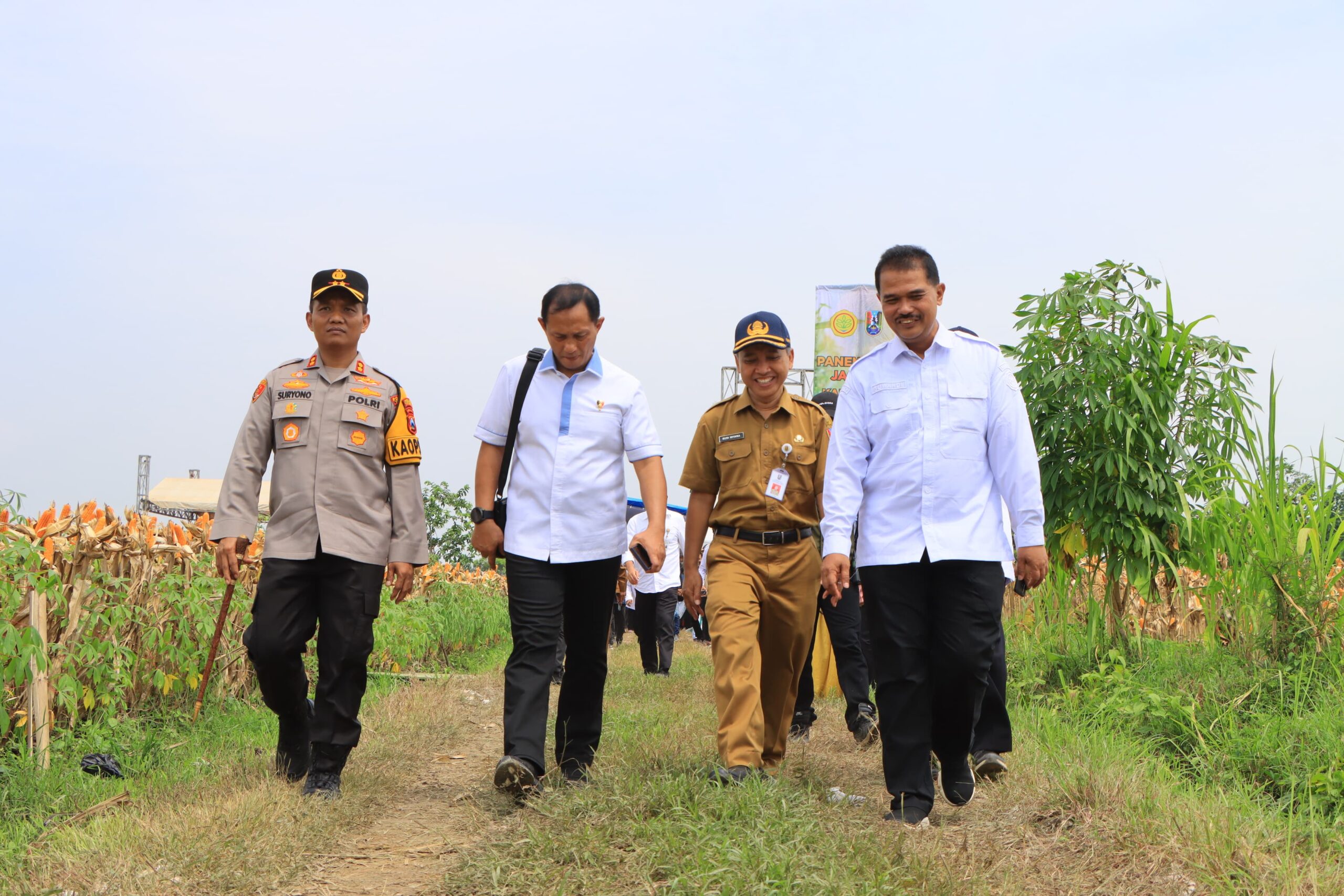 Dukung Produksi Pangan, Satgas Pangan Polri Dampingi Dirjen Tanaman Pangan Kementan Panen di Tuban