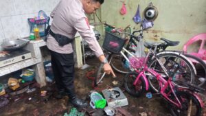IMG-20240327-WA0016