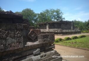 IMG_20240303_161224