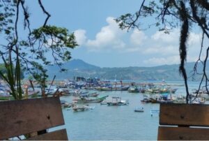 IMG_20240303_184442