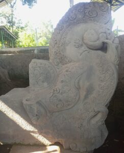 IMG_20240304_070128