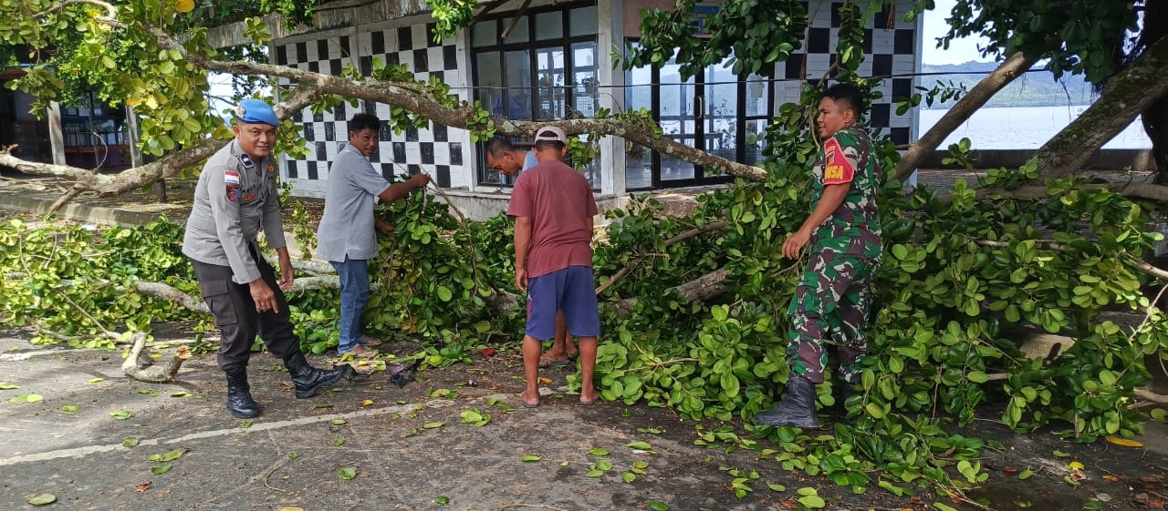 Dampak Cuaca Extrime 1 (Satu) Unit Kendaraan Roda Dua Tertimpa Pohon, Polsek Melonguane Imbau warga Waspada.