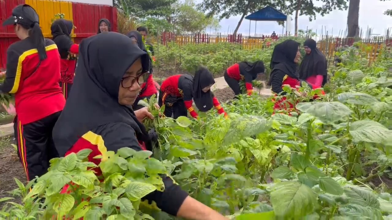 Manfaatkan Pekarangan, Bhayangkari Ranting Batalyon A Brimob Kaltim Panen Sayur dari Kebun P2L