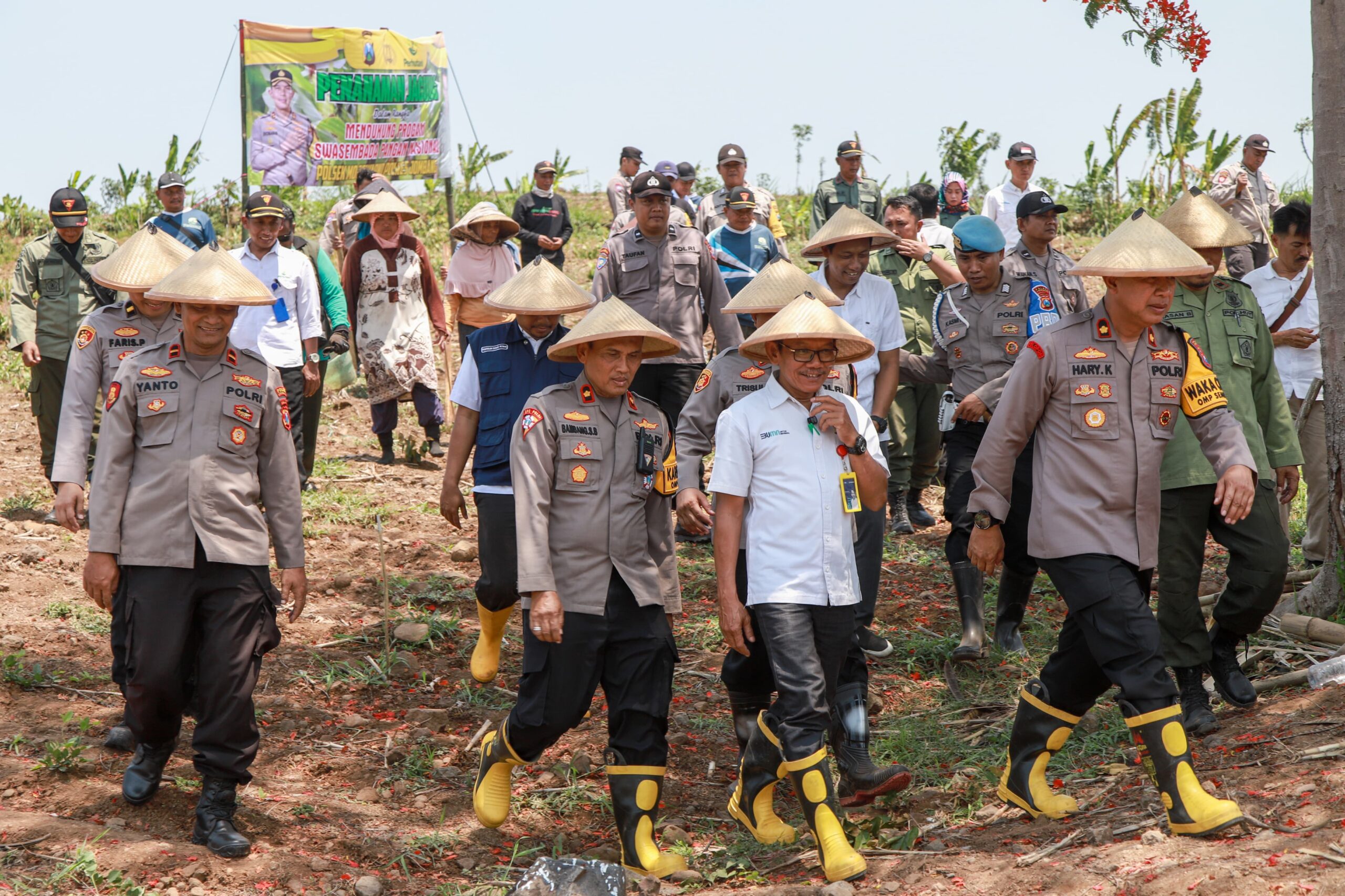 Wujudkan Swasembada Pangan, Polres Jombang Tanam Jagung di Lahan Kosong