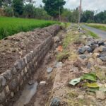 Proyek Irigasi Dinas PU Pengairan di Desa Bedewang Banyuwangi, Diduga Bermasalah, RAB Tidak Sesuai dan Tanpa Papan Informasi