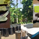 Aspal Curah Panas di Bali Barat: Aroma Bisnis Gelap dan Jejak di Balik Drum