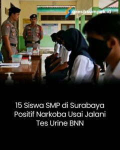 IMG-20251119-WA0071(1)