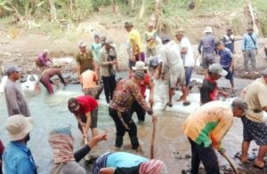 IMG-20260112-WA0042(1)