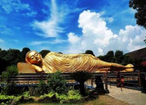 Screenshot_20260109-215147~2