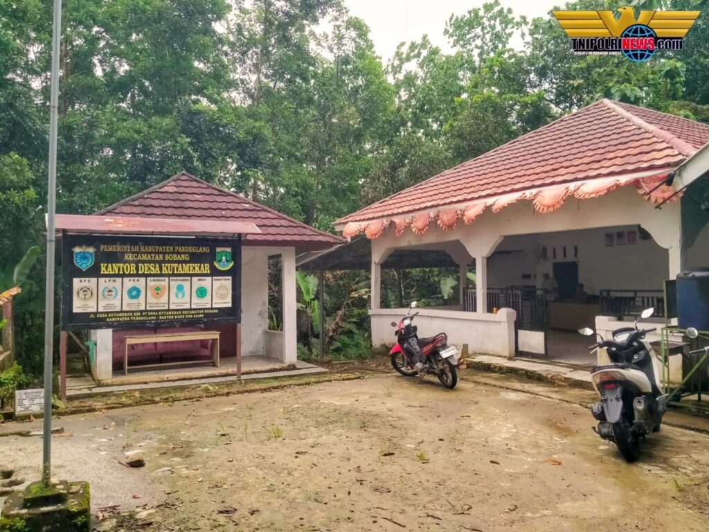 GridArt_20260202_120327691~2