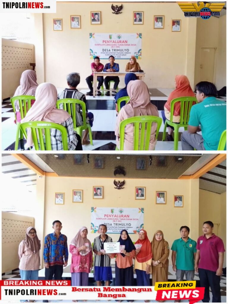 GridArt_20260317_211722153~2