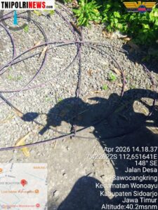 GridArt_20260412_004132546~2