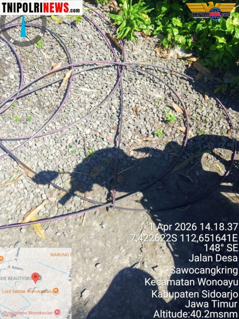 GridArt_20260412_004132546~2