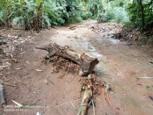 IMG-20260524-WA0014