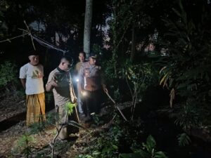 IMG-20260701-WA0050