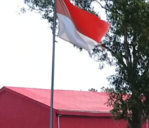 IMG-20260702-WA0019