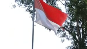IMG-20260702-WA0021
