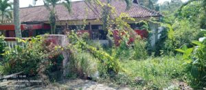 IMG-20260721-WA0013