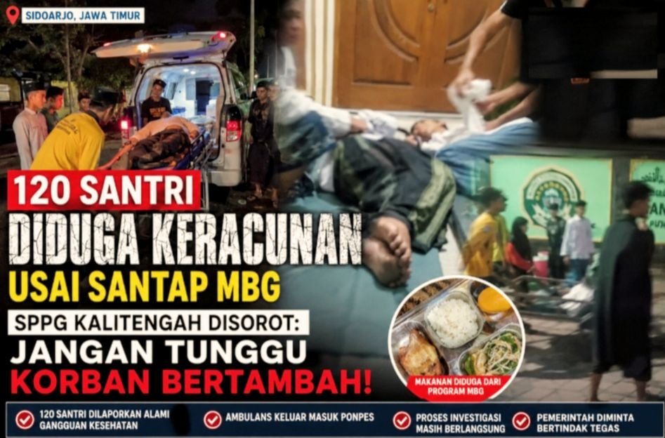 IMG-20260902-WA0009~2