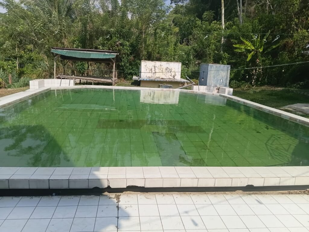 IMG-20260922-WA0017