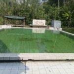 IMG-20260922-WA0017