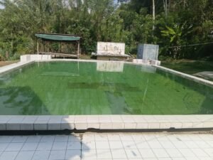 IMG-20260922-WA0017